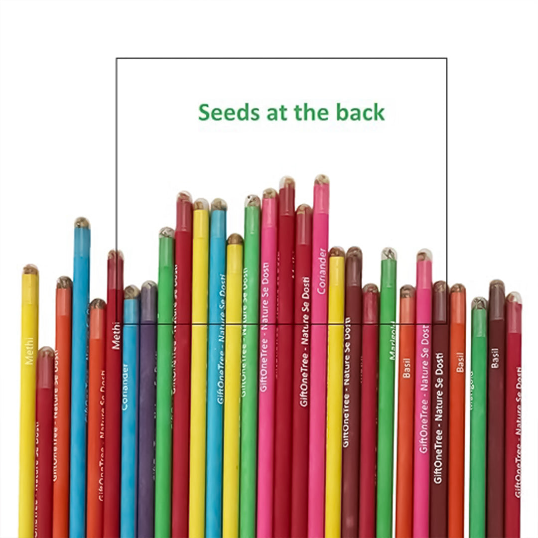 Personalized Plantable Seed Pencils – Set of 10 (5 Box) | GiftOneTree