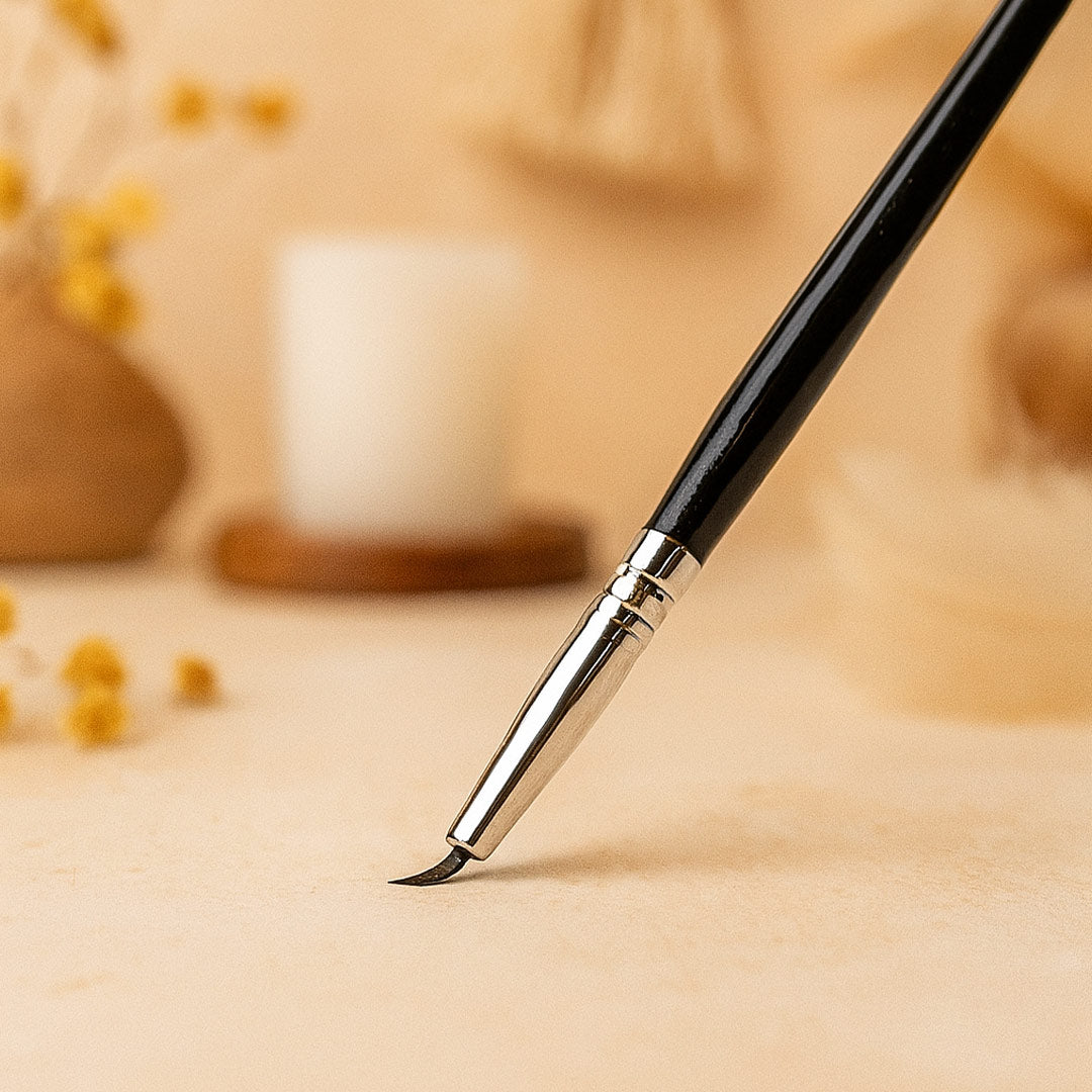 Swiss Beauty Professional Face & Eye Brush Set of 12 | Custom Name & Cartoon Photo on Cover