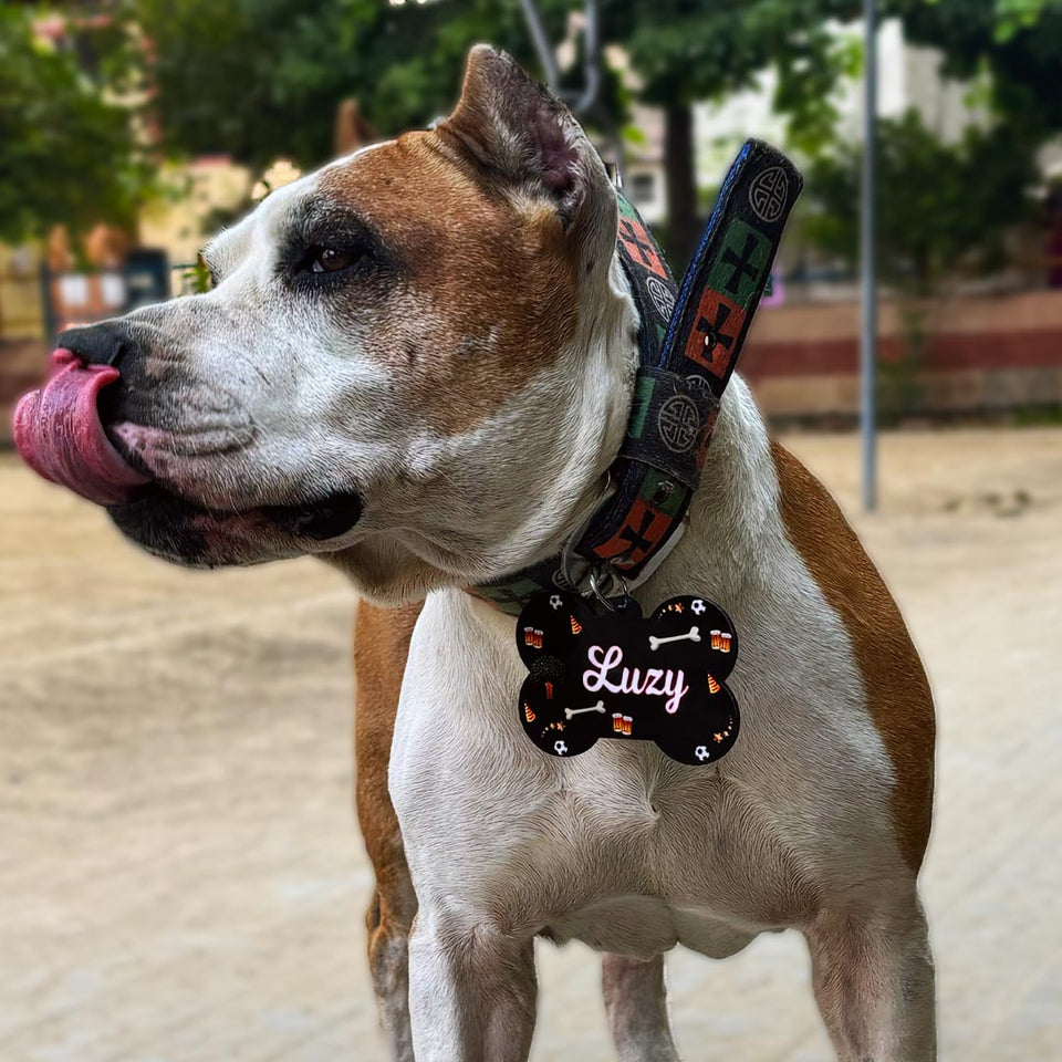 Personalized Wooden Dog Name Tag - Bone