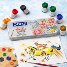 DOMS Acrylic Colours 12 Shades Kit