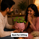 Custom Name Plant Buddy Pot 5 Inch | Personalized Plastic Indoor Planter for Small Plants, Desk, Window, Balcony & Home Decoration