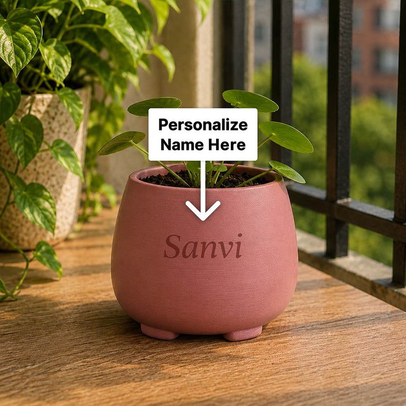 Personalized Plant Buddy Pot with Custom Name 5 Inch | Cute Plastic Planter for Indoor Plants, Office Desk, Bedroom & Balcony Décor