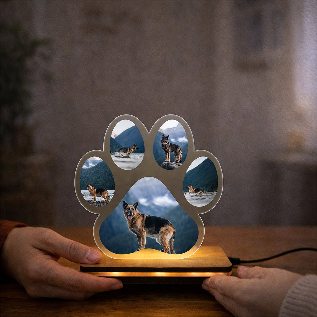 Personalized Pet Photo LED Lamp Paw Shape – Custom Dog Photo Night Light Gift (5x6 Inch) | Love Craft Gifts