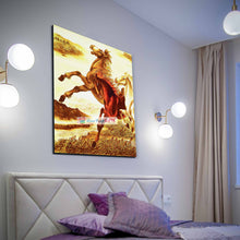 Special Colourful Horse Canvas Frame